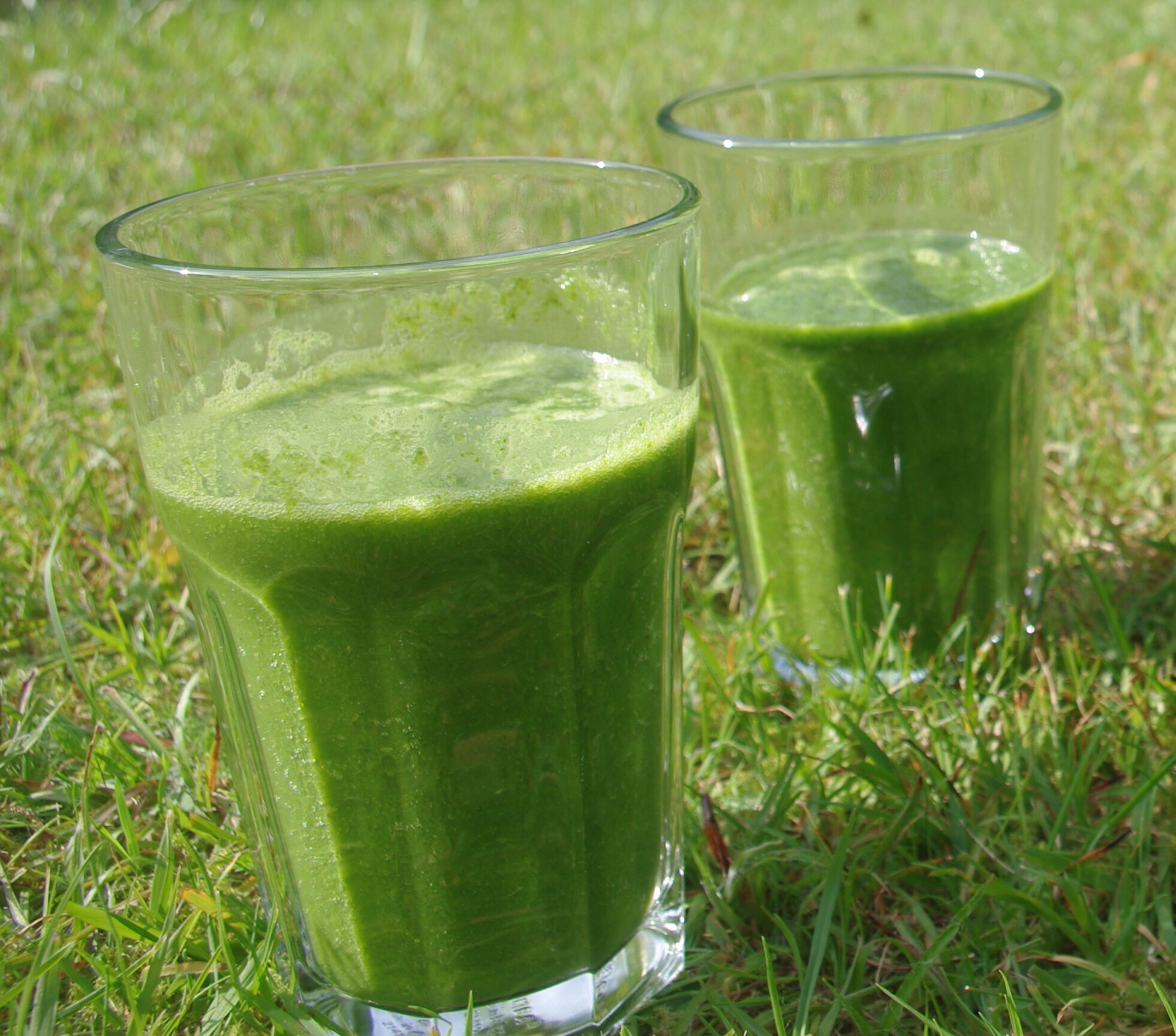 Milder grüner Smoothie