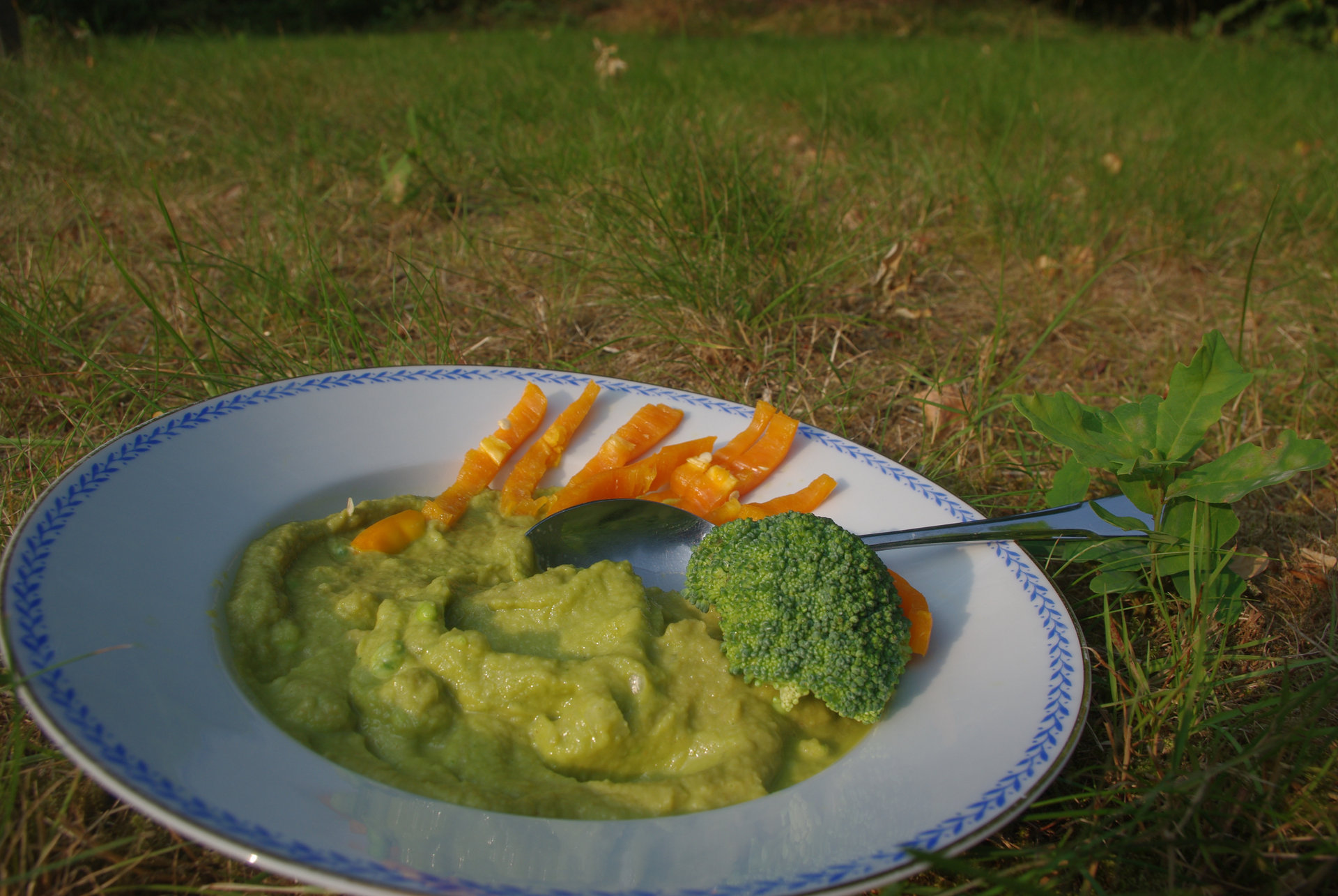 Erbsensuppe