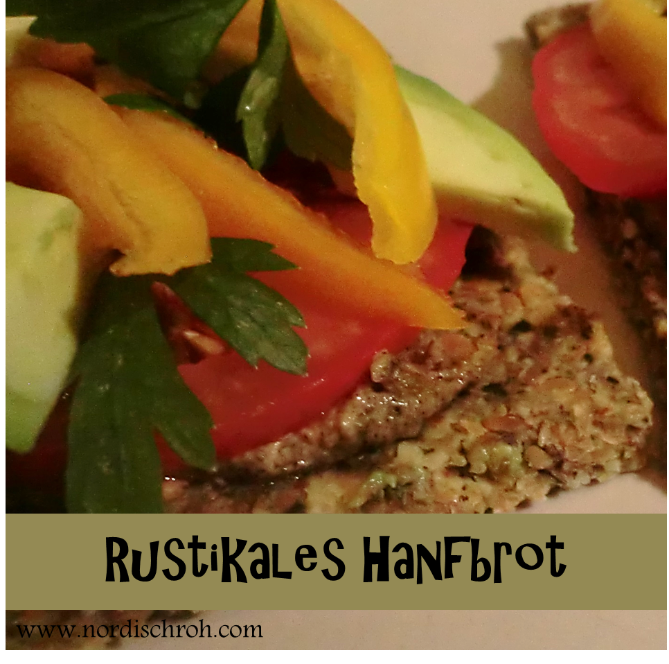 Dieses rohvegane Hanfbrot aus dem Dörrgerät wird wie Knäckebrot oder wie Schwarzbrot, je nach Trockenzeit