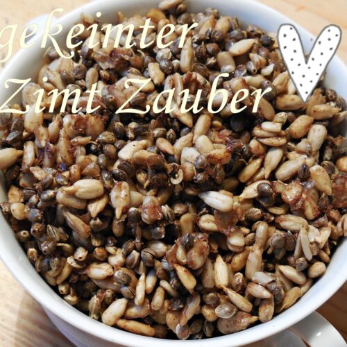 Gekeimter Zimt-Zauber 1