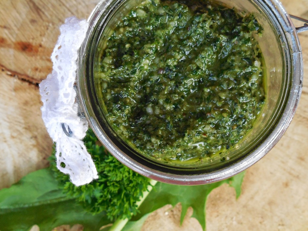 Wildkräuter-Hanf-Pesto - NaturkraftPur