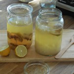 Wasserkefir: Der leckerste Jungbrunnen aller Zeiten! 9