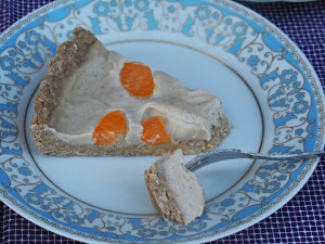 Oma Lores Mandarinen-Kuchen mit Vanillecreme 15 DSCN1965