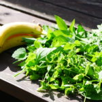 Wildkräuter-Smoothie