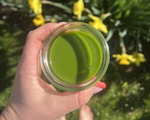 Grüner Wildkräutersaft .:. So schnell ist er gemacht! 1