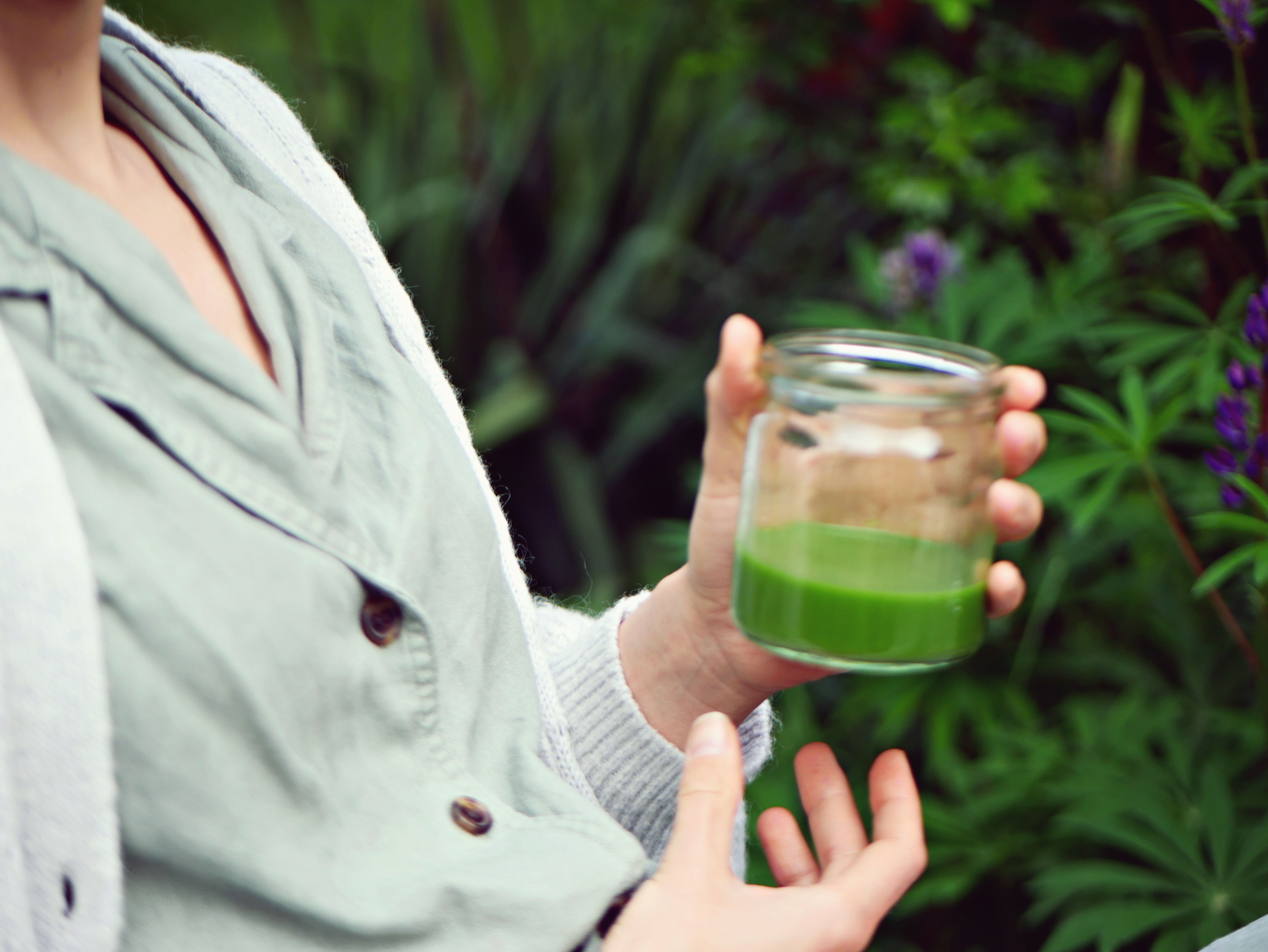 Grüner Wildkräutersaft +++ So schnell ist er gemacht! 4