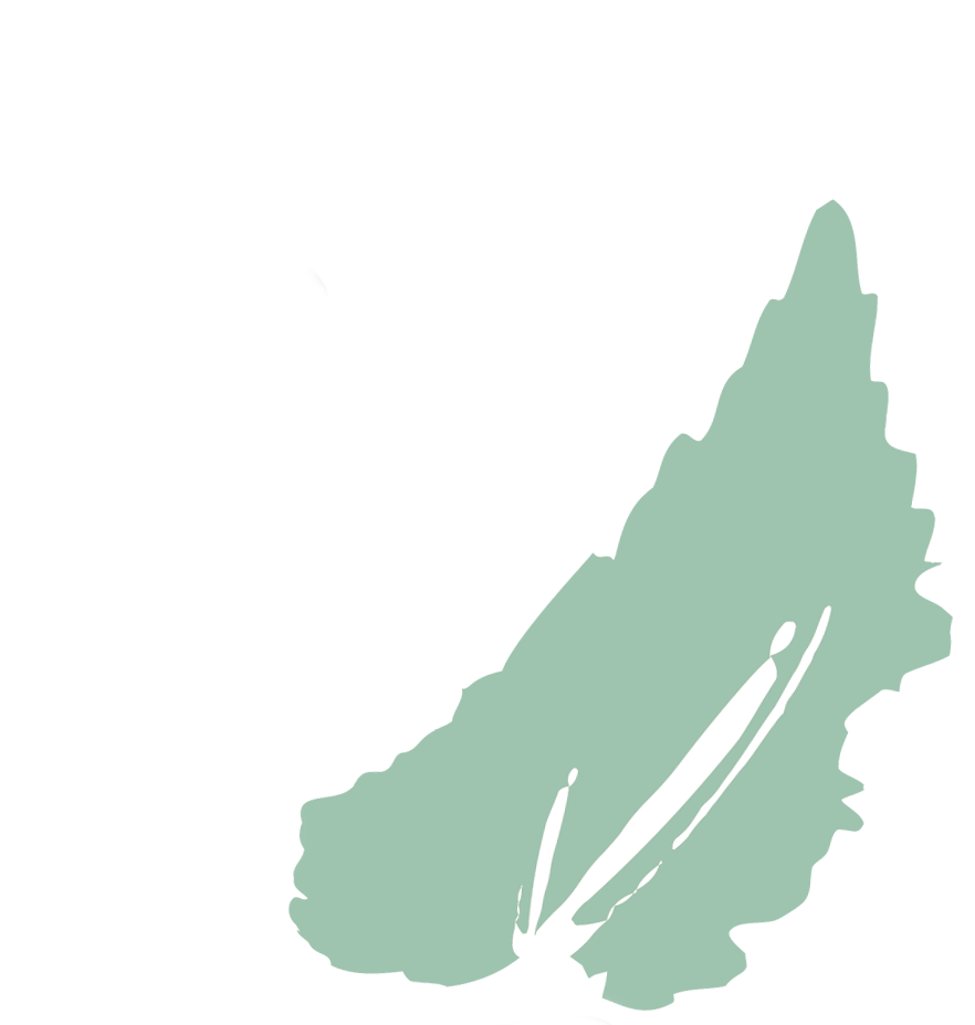 KüchenRevolution (Kurs) 2