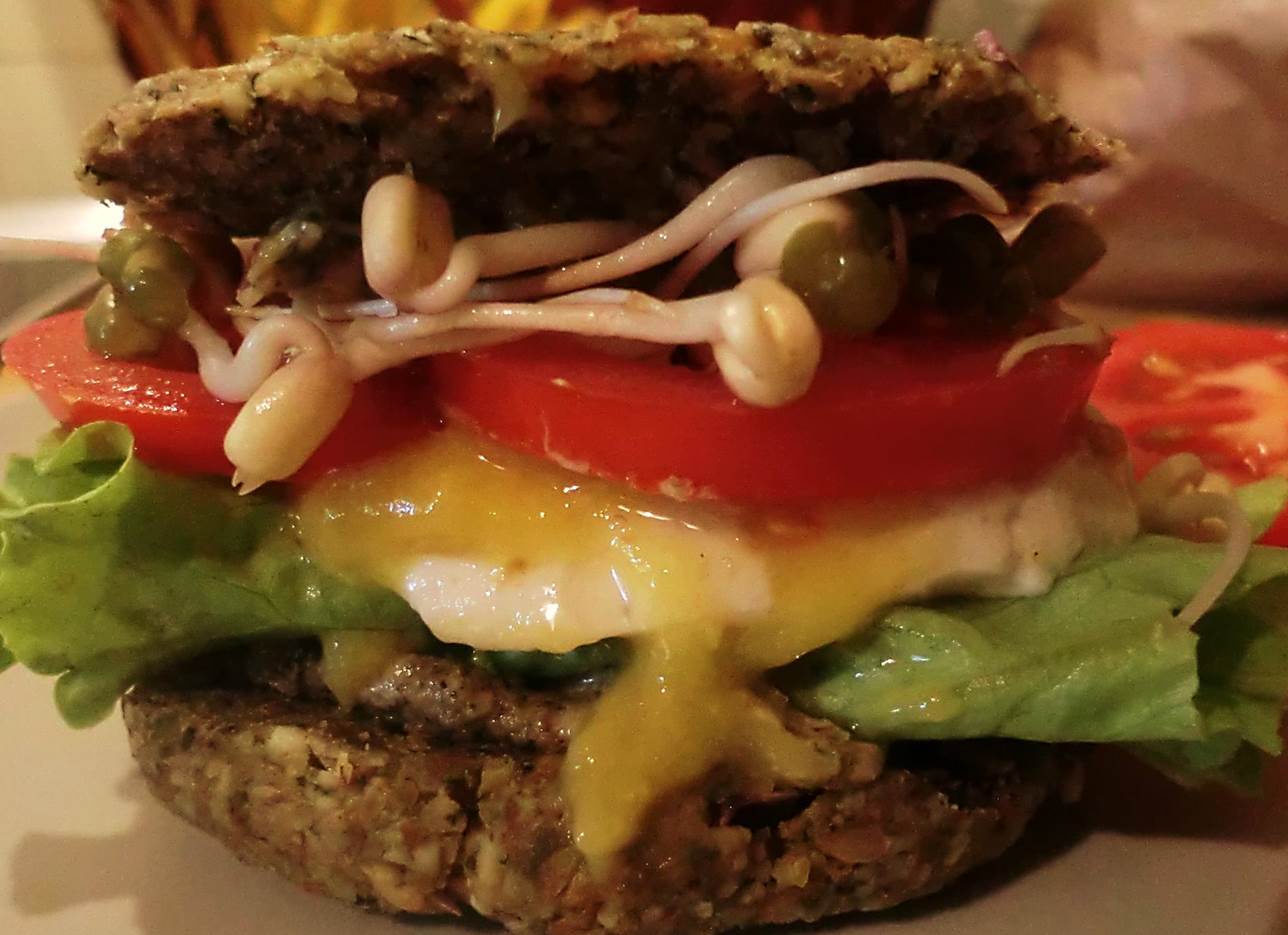 rohkost burger hanfburger