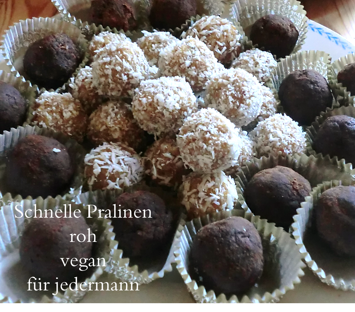 rohkost pralinen rohkost pralinen
