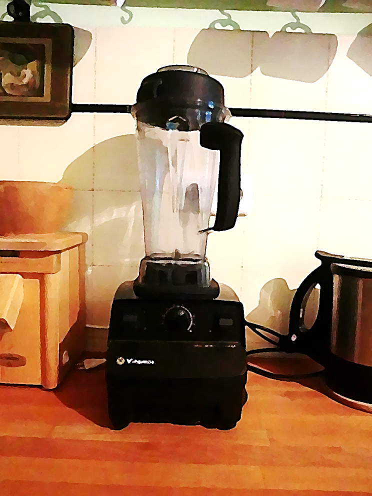 vitamix vitamix