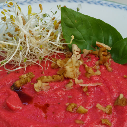 Rote Bete Gazpacho 1 Rote Bete Gazpacho roh, dunkelrot im Teller mit Sprossen und Basilikum